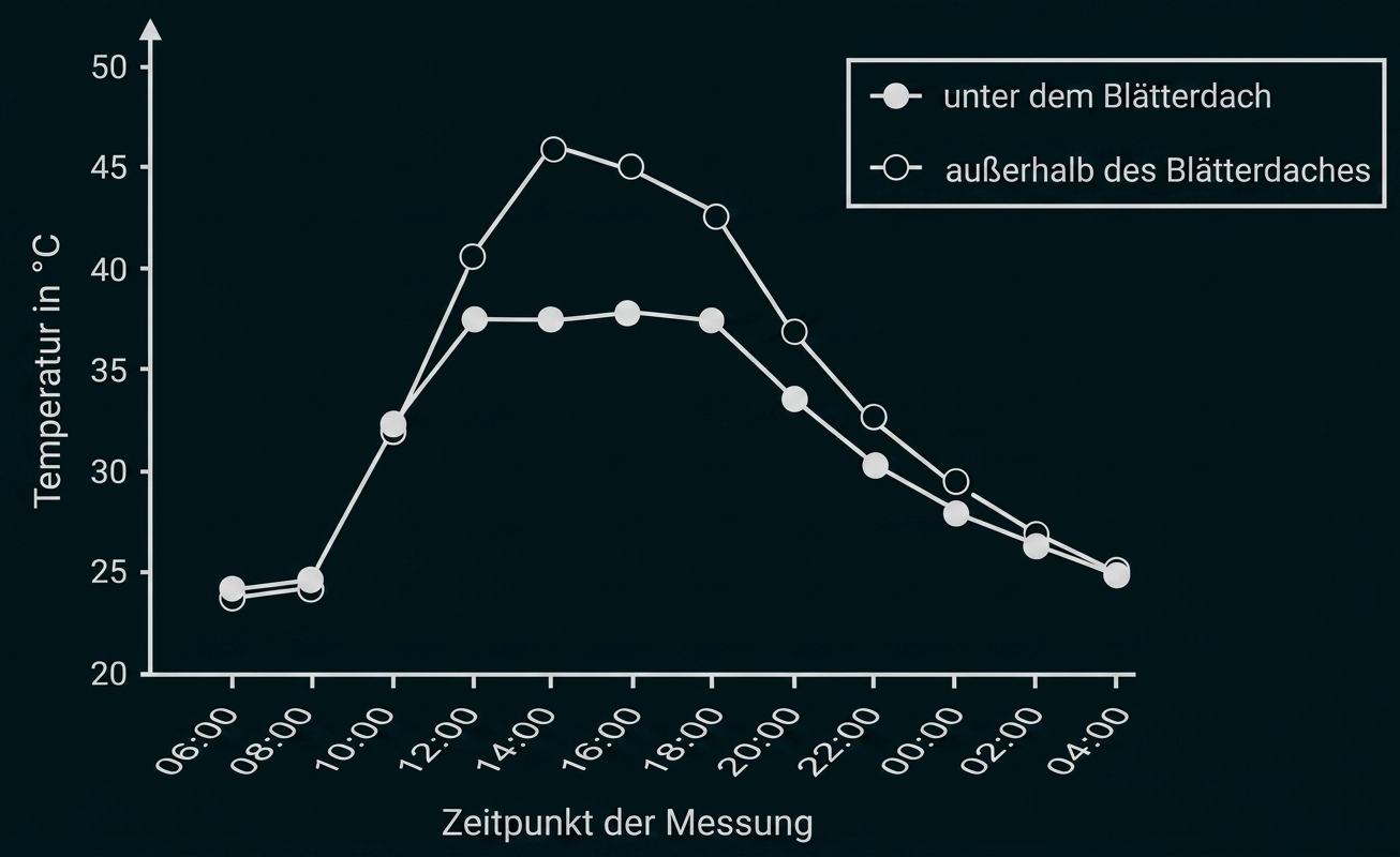 Liniendiagramm: Temperatur über 24 Stunden unter und außerhalb eines Blätterdachs, Höchstwerte am Nachmittag.
